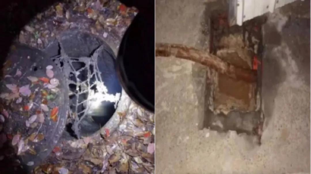 黑科技! 水污染“云溯源”技術(shù)助力解決污水處理廠進水異常問題 黑科技! 水污染“云溯源”技術(shù)助力解決污水處理廠進水異常問題